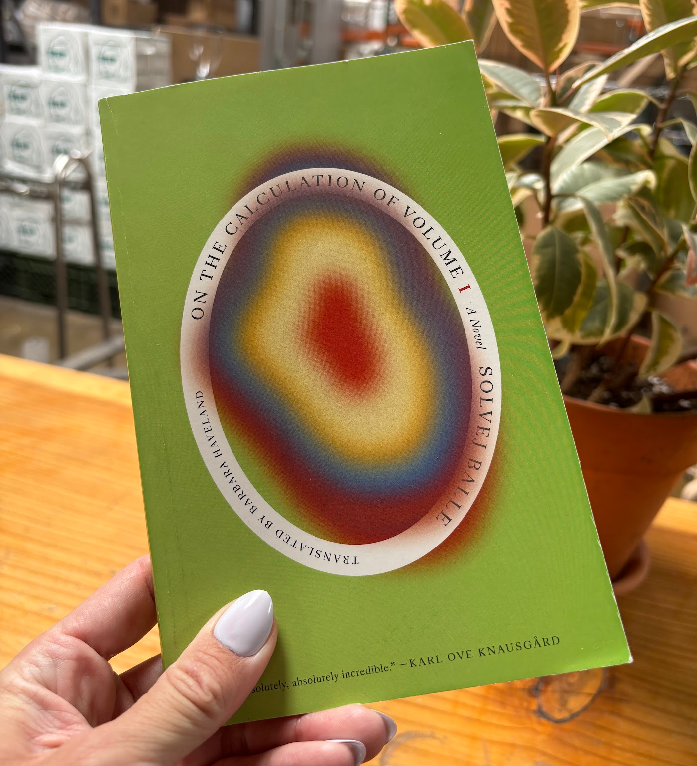 Solvej Balle's On the Calculation of Volume (Book I)